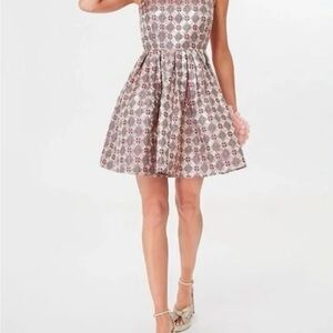 Tuckernuck Champagne Dreams Essie Open Back Mini Dress